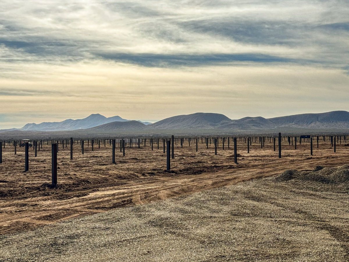 Field of driven steel piles with mountains in the background